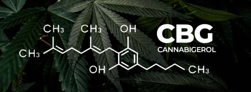 What is CBG?