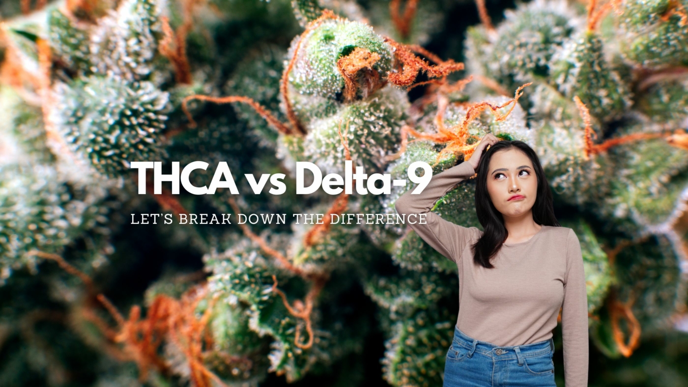 Thca Vs Delta 9: The Difference In These 2 Cannabis Cannabinoids 1 Thca Vs D9 Differences
