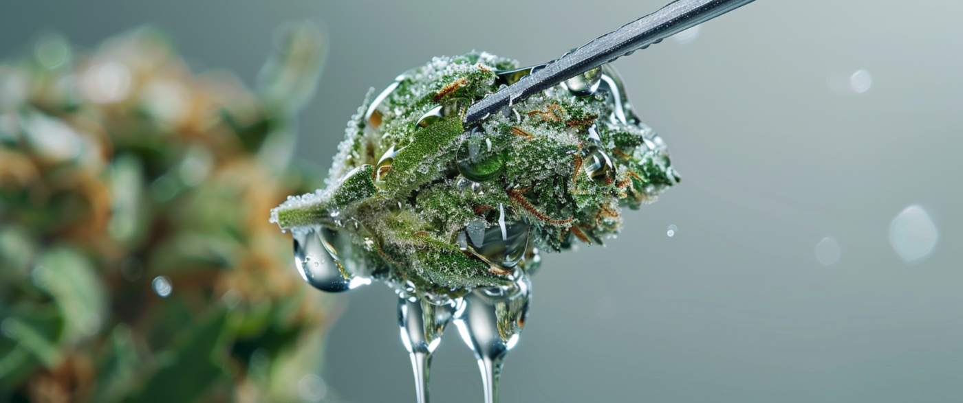 Liquid THCA Diamonds: Potency, Formulation, And Effects