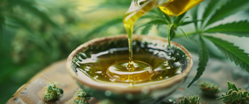 Is there a Strain that Suppresses Appetite: Understanding Appetite-Suppressing Strains