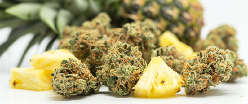 Can Delta 8 Be Mixed with Food? Read This Before You Do So!