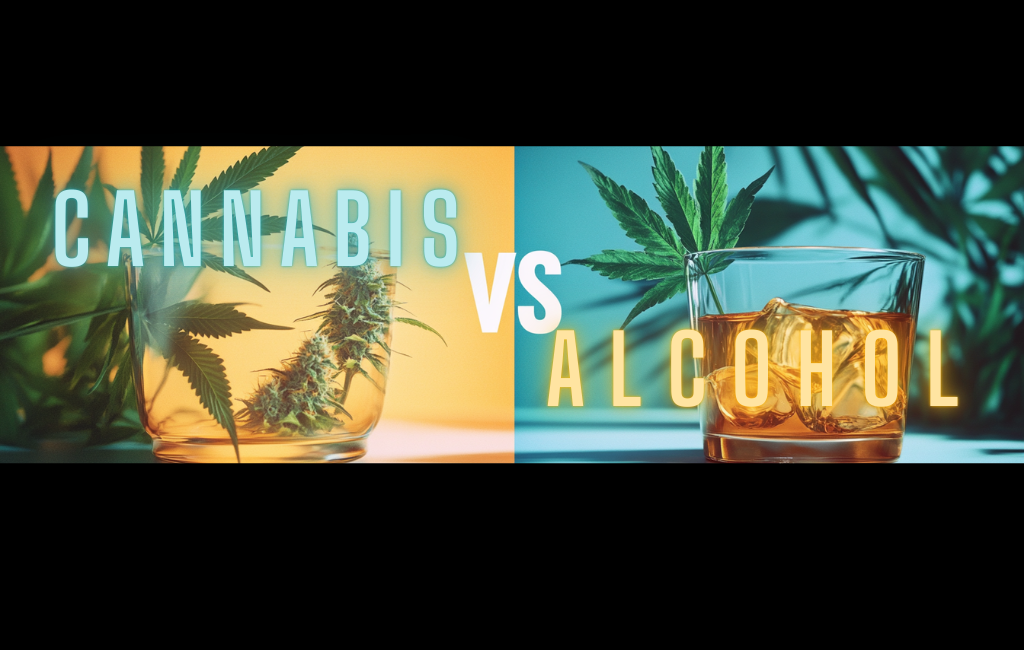 Cannabis Vs Alcohol 33 Cannabis Vs Alcohol