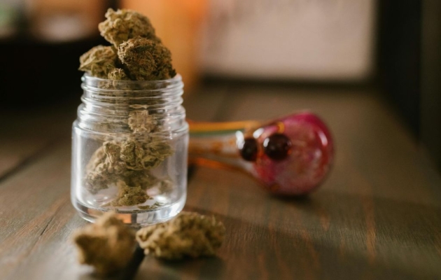 A Review of Mid-Shelf Cannabis: Exploring Cheetah Piss
