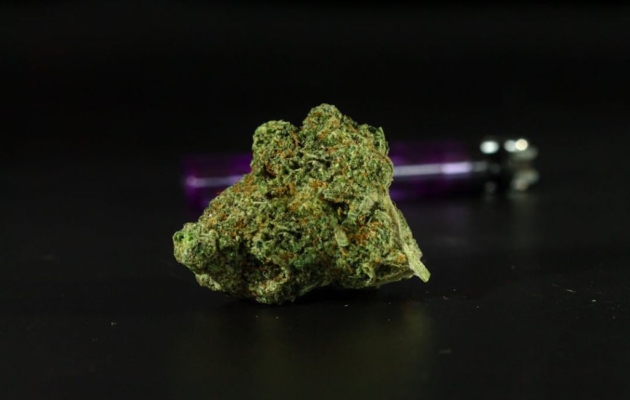 Forbidden Fruit Strain Highlight
