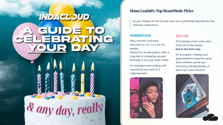 Mona’s Birthday Goes BeastMode | A Guide To Celebrating ANY Day