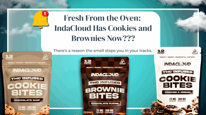 Fresh From the Oven: IndaCloud Has Cookies and Brownies Now???