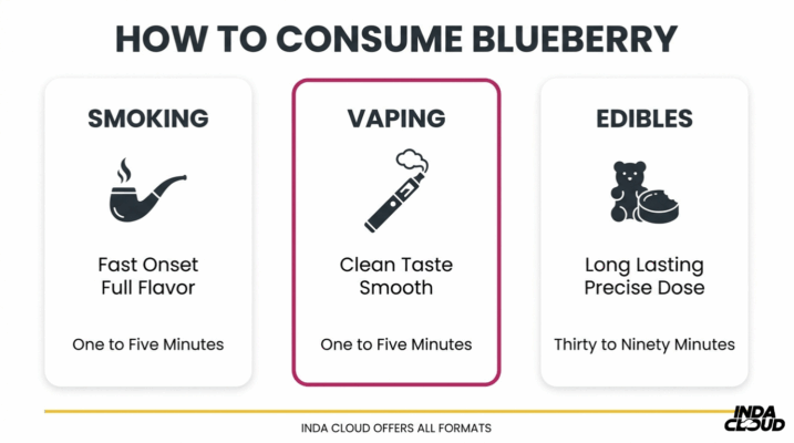 Blueberry Strain Consumption Methods Comparison Showing Smoking, Vaping, And Edibles With Onset Times And Experience Differences