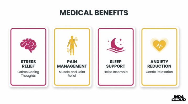 Blueberry Medical Benefits Infographic Showing Stress Relief, Pain Management, Sleep Support, And Anxiety Reduction