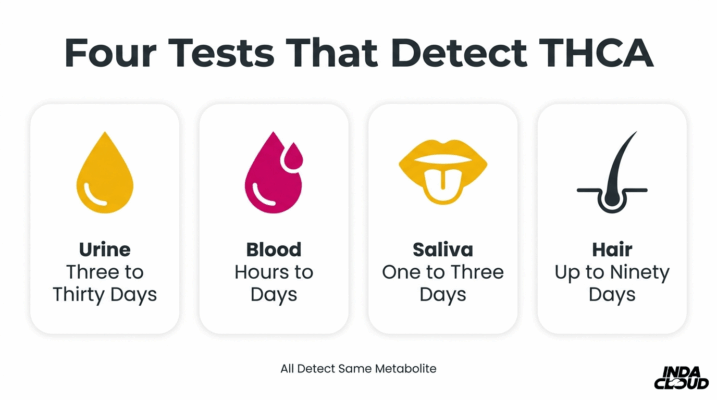Does Thca Test Positive On Drug Tests? 2 Four Drug Tests That Detect Thca Metabolites Including Urine, Blood, Saliva, And Hair With Different Detection Windows
