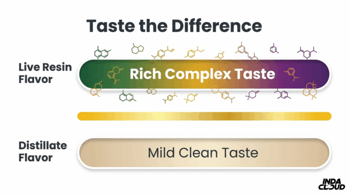 Flavor Profile Comparison Showing Live Resin With Rich Complex Taste And Distillate With Mild Clean Taste