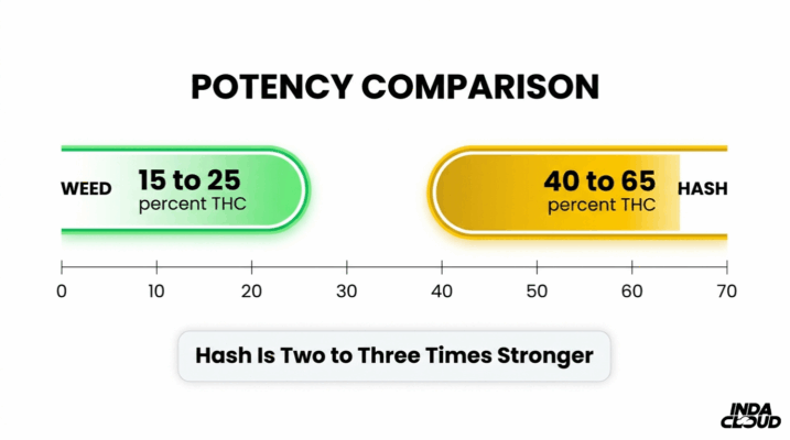 Thc Potency Comparison Chart Showing Weed At Fifteen To Twenty Five Percent Thc And Hash At Forty To Sixty Five Percent Thc