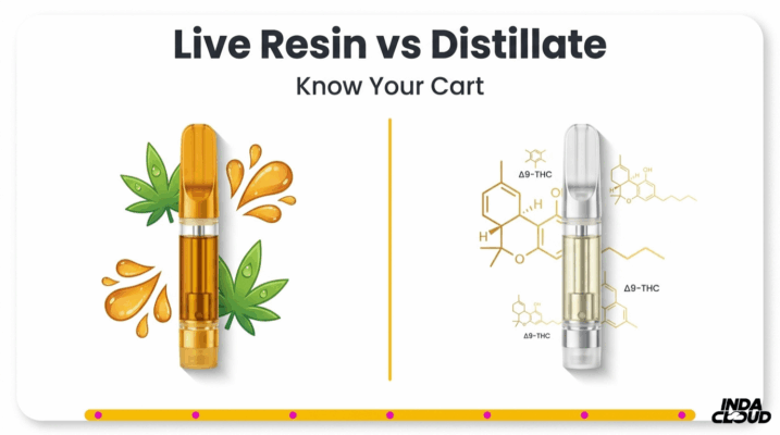 Live resin vs distillate vape cart comparison showing live resin cart with cannabis terpenes and distillate cart with purified Delta 9 THC compounds