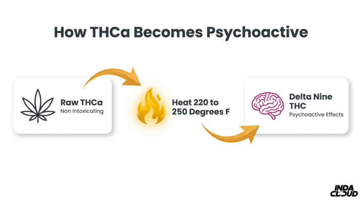Thca Vs Thcb: Key Differences You Should Know 2 Thca Decarboxylation Process Infographic Showing Raw Thca Converting To Delta 9 Thc Through Heat Activation