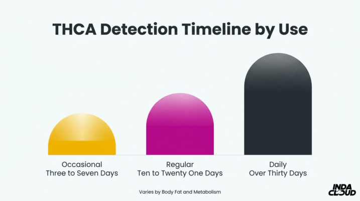 Does Thca Test Positive On Drug Tests? 3 Thca Detection Timeline By Usage Frequency Showing Occasional Use Three To Seven Days, Regular Use Ten To Twenty One Days, And Daily Use Over Thirty Days