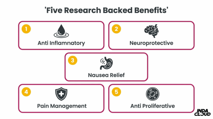 Understanding Thca: Benefits, Uses, &Amp; Legality 3 Five Research Backed Thca Benefits Including Anti Inflammatory, Neuroprotective, Nausea Relief, Pain Management, And Anti Proliferative Properties