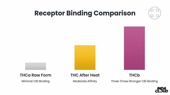 Thca Vs Thcb: Key Differences You Should Know 3 Receptor Binding Comparison Chart Showing Thca Raw Form, Thc After Heat, And Thcb With Stronger Cb1 Binding Affinity