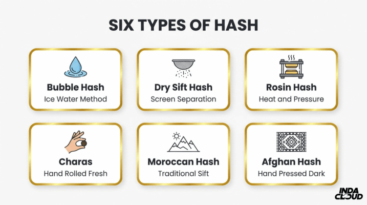 Six Types Of Hash Infographic Showing Bubble Hash, Dry Sift Hash, Rosin Hash, Charas, Moroccan Hash, And Afghan Hash