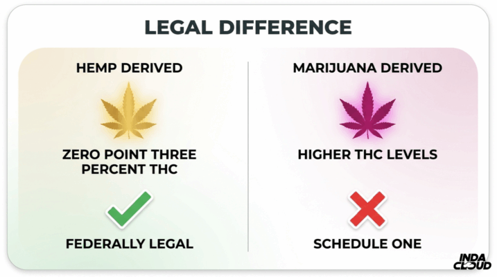What Is A Delta-9 Thc High Like? Effects, Benefits, And Potential Risks 5 Infographic Comparing Legal Differences Between Hemp-Derived Thc And Marijuana-Derived Thc Products