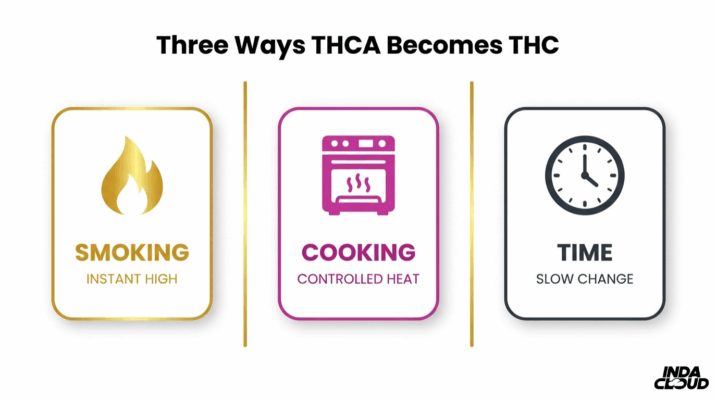 Does Thca Get You High? Understanding The Effects And Potential For Euphoria 2 Three Ways Thca Becomes Thc Through Smoking Cooking And Time With Heat Activation Causing The Conversion From Non Psychoactive To Psychoactive Compounds