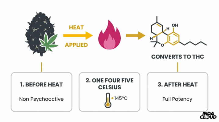 Thca Vs Delta 8: Key Differences, Effects, And What You Need To Know 1 Thca Decarboxylation Process Showing How Heat Applied At 145°C Converts Non Psychoactive Thca Into Full Potency Thc After Heating